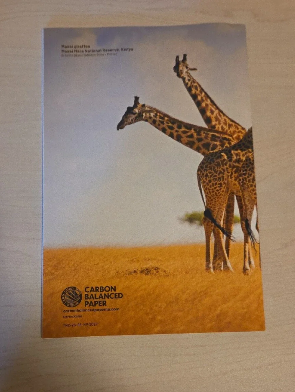 2027 Monthly Planner featuring Giraffes